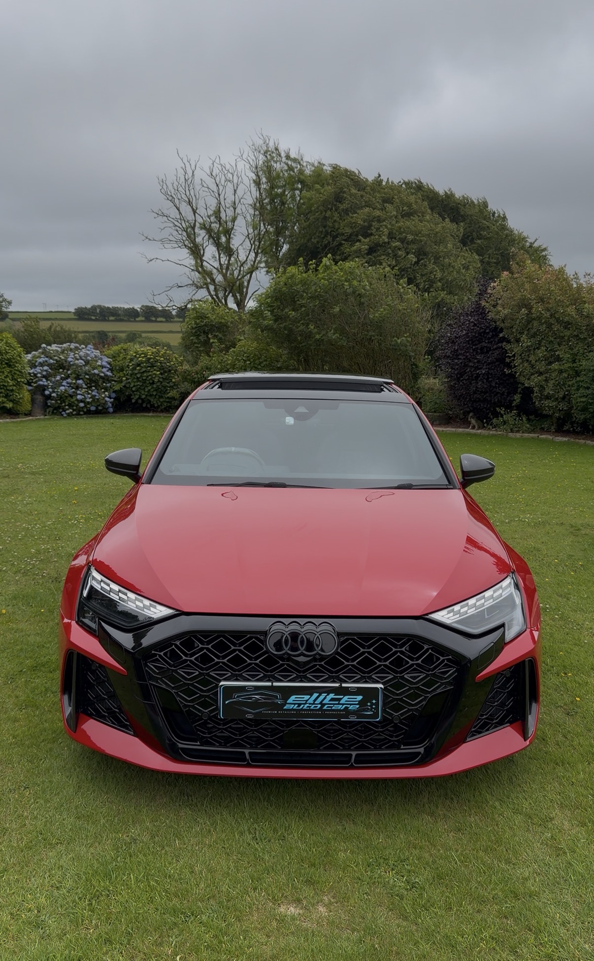 Audi RS detailed by Elite Auto Care